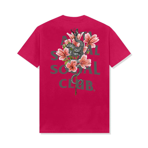 Anti Social Social Club T-Shirt "Hokkaido" Sangria
